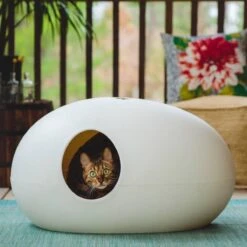 SinDesign Poopoopeedo Kattenbak - Zwart -PetSafe Huisdieren Verkoopwinkel 1200x1200 475