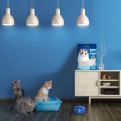 Nobleza 48REM - Tofu Kattenbakvulling - Snel Absorberend - 3.8 L - Klontvormend - 2 Kg -PetSafe Huisdieren Verkoopwinkel 1200x1200 499