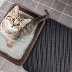 Merkloos Tastelio XXL Kattenbakmat 75x55cm - Groot Kattenbak Mat Met Innovatieve Honingraatstructuur - Dubbele Waterdichte Laag - Katten Bak Mat Met Eenvoudige Reiniging Grit Opvanger -PetSafe Huisdieren Verkoopwinkel 1200x1200 516