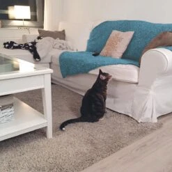 HG Tegen Urine Geur - 500 Ml - Effectief En Snel Resultaat - Neemt De Geur Definitief Weg -PetSafe Huisdieren Verkoopwinkel 1200x1200 517