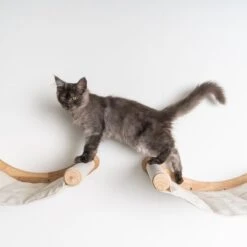 RHRQuality Wandmeubel Wandmontage Klimmuur Kat 53 X 43cm Luxe Hangmat XXL Creme Klim Wand Muur Krabpaal Katten Muurbevestiging -PetSafe Huisdieren Verkoopwinkel 1200x1200 546