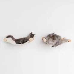 RHRQuality Wandmeubel Wandmontage Klimmuur Kat 53 X 43cm Luxe Hangmat XXL Creme Klim Wand Muur Krabpaal Katten Muurbevestiging -PetSafe Huisdieren Verkoopwinkel 1200x1200 547