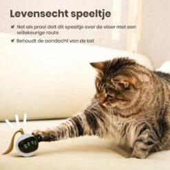 Otiume Interactieve Speelbal - Slimme Interactieve Jaag Speeltje Voor Katten - Kattenspeeltjes - Intelligente Jaagbal - AI -USB Oplaadbaar - LED - Blauw -PetSafe Huisdieren Verkoopwinkel 1200x1200 579