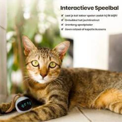 Otiume Interactieve Speelbal - Slimme Interactieve Jaag Speeltje Voor Katten - Kattenspeeltjes - Intelligente Jaagbal - AI -USB Oplaadbaar - LED - Blauw -PetSafe Huisdieren Verkoopwinkel 1200x1200 580