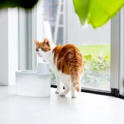 Hoopo® Agua - DRAADLOZE Waterfontein Katten - SMART Waterfontein Katten - UVC Disinfectie - 2 Liter - Automatische Katten Fontein -PetSafe Huisdieren Verkoopwinkel 1200x1200 594