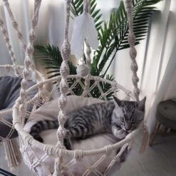 Bonbox Shop - Macrame Hangmat Voor Katten En Kittens - Kattenhammock - Hangmand -PetSafe Huisdieren Verkoopwinkel 1200x1200 599