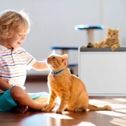 Relaxdays Kattenbak Ombouw - Met Zitkussen - Kattenhuis Wit - Kattenmeubel - Kattenkast -PetSafe Huisdieren Verkoopwinkel 1200x1200 610