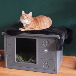 RHRQuality Kattenhuis Voor Binnen En Buiten Kattenhok Villa De Luxe Grijs 21 RHRQuality Kattenhuis Voor Binnen En Buiten Kattenhok Villa De Luxe Grijs -PetSafe Huisdieren Verkoopwinkel 1200x1200 643