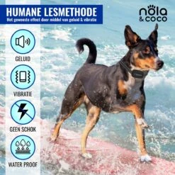 Nola & Coco® Oplaadbare Anti Blafband - 4 Kleuren - Zonder Schok - Waterdichte Diervriendelijke Blaf Halsband - Opvoedingshalsband - Voor Grote En Kleine Honden - Lichte Vibratie En Geluid - 3 Tot 60kg -PetSafe Huisdieren Verkoopwinkel 1200x1200 72