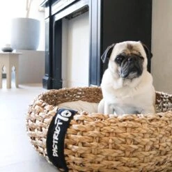 PetSafe Huisdieren Verkoopwinkel -PetSafe Huisdieren Verkoopwinkel 1200x1200 93