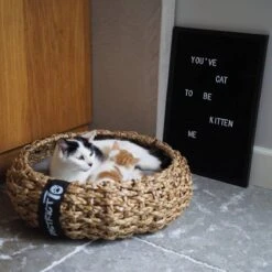 District 70 COCOON - Luxe Hondenmand Van Duurzaam Hoogwaardig Riet Met Zacht Kussen - Maten S/M/L - Large -PetSafe Huisdieren Verkoopwinkel 1200x1200 98