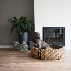 District 70 COCOON - Luxe Hondenmand Van Duurzaam Hoogwaardig Riet Met Zacht Kussen - Maten S/M/L - Large -PetSafe Huisdieren Verkoopwinkel 1200x1200 99