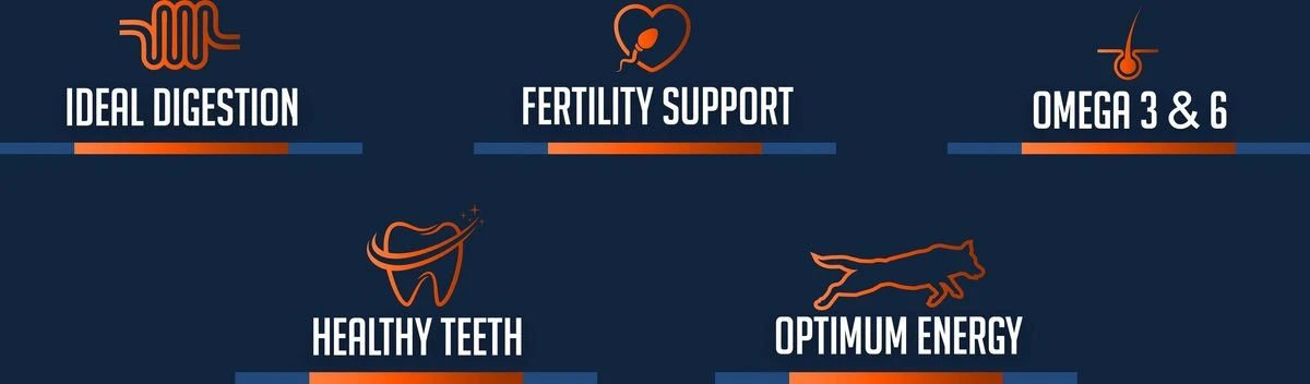 Avalon Petfood Original - Hondenvoer - 20 Kg 2 Avalon Petfood Original - Hondenvoer - 20 Kg - Afbeelding 2