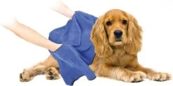 Duvo+ Hondenhanddoek 70 X 100 Cm -PetSafe Huisdieren Verkoopwinkel 1200x597