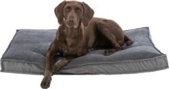 Trixie Hondenmand Vital Eliano Grijs - 90X60 CM -PetSafe Huisdieren Verkoopwinkel 1200x630