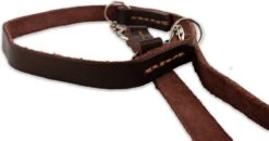 Multifunctionele Hondenriem - 220cm - Bruin - Leren Hondenriem - 100% Volnerfleer - Hondenriem Leer - Leiband Hond -PetSafe Huisdieren Verkoopwinkel 1200x631