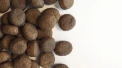 Carocroc Grain Free - Gevogelte/Aardappel/Bieten - Hondenvoer - 15 Kg 14 Carocroc Grain Free - Gevogelte/Aardappel/Bieten - Hondenvoer - 15 Kg -PetSafe Huisdieren Verkoopwinkel 1200x675