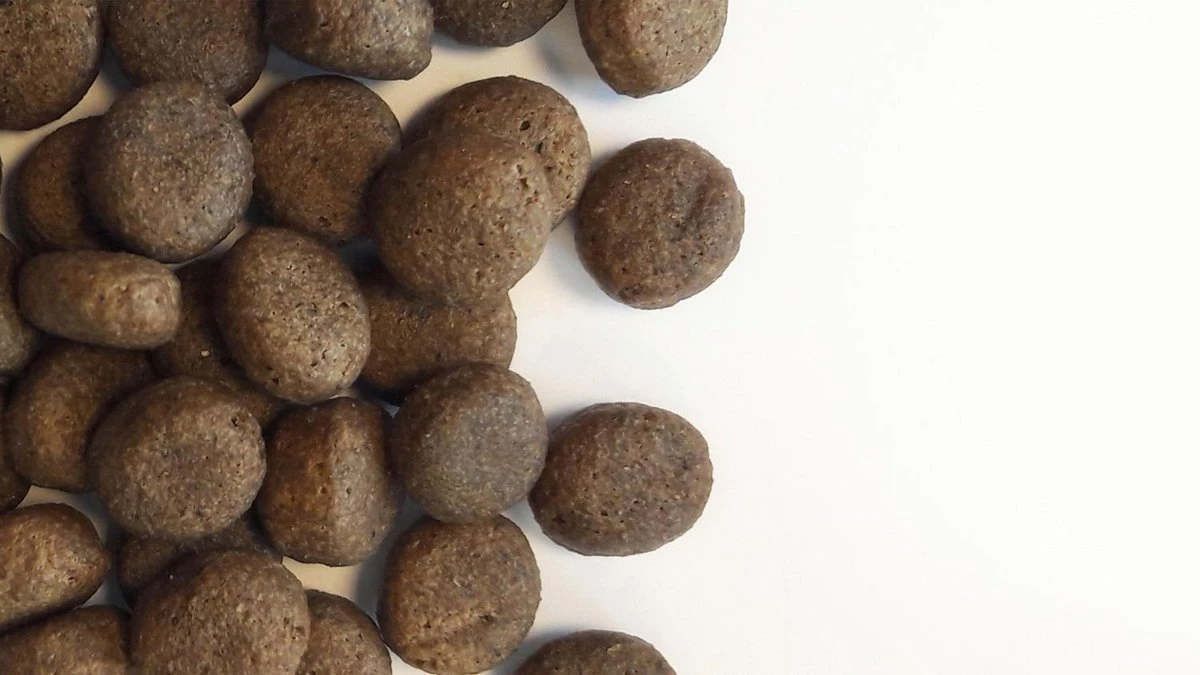 Carocroc Grain Free - Gevogelte/Aardappel/Bieten - Hondenvoer - 15 Kg 6 Carocroc Grain Free - Gevogelte/Aardappel/Bieten - Hondenvoer - 15 Kg - Afbeelding 6