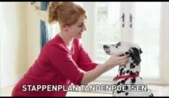 Beaphar Tandenborstel -PetSafe Huisdieren Verkoopwinkel 1200x697