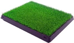 Merkloos Maoo Premium Hondentoilet - Geurbestendig & Hondvriendelijk Kunstgras - Uitneembare Opvangbak - Indoor En Outdoor - 63 X 50 Cm -PetSafe Huisdieren Verkoopwinkel 1200x698