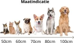 Behave Donut Hondenmand - Hondenkussen - Hondenbed - Kattenmand - Fluffy - Donut - 50cm - Beige 10 Behave Donut Hondenmand - Hondenkussen - Hondenbed - Kattenmand - Fluffy - Donut - 50cm - Beige -PetSafe Huisdieren Verkoopwinkel 1200x706