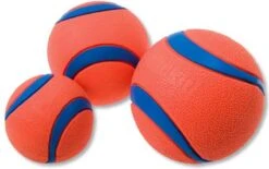 Chuckit! 10 Chuckit Ballen In Emmer - Chuckit - Veilig Voor Gebit - Hondenbal - Past In Werpstok -PetSafe Huisdieren Verkoopwinkel 1200x751 1