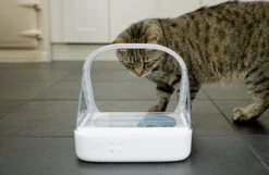 Surefeed Microchip Pet Feeder - Voerbak - 30 X 23 X 22 Cm 25 Surefeed Microchip Pet Feeder - Voerbak - 30 X 23 X 22 Cm -PetSafe Huisdieren Verkoopwinkel 1200x780 3