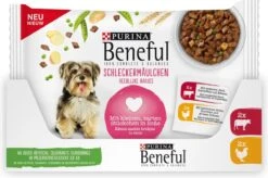 Beneful Pouch - Hondenvoer Kip & Rund In Saus - 40 X 100 G -PetSafe Huisdieren Verkoopwinkel 1200x796