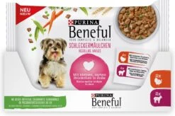 Beneful Pouch - Hondenvoer Kalkoen & Lam In Saus - 40 X 100 G -PetSafe Huisdieren Verkoopwinkel 1200x798