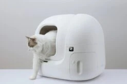 PETKIT® Pura MAX – Automatische Kattenbak – Elektrisch – Kattenbak Zelfreinigend – Bedienen Via De App 12 PETKIT® Pura MAX – Automatische Kattenbak – Elektrisch – Kattenbak Zelfreinigend – Bedienen Via De App -PetSafe Huisdieren Verkoopwinkel 1200x798 4