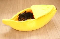 N/A Kattenhuis Banaan L - Hondenhuis Banaan L - 65x25x18 Cm - Kattenmand - Hondenmand - Dierenmand - Cadeau Kat -PetSafe Huisdieren Verkoopwinkel 1200x799 10