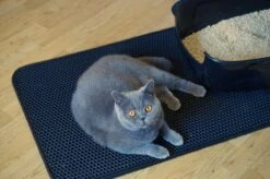 Merkloos Tastelio XXL Kattenbakmat 75x55cm - Groot Kattenbak Mat Met Innovatieve Honingraatstructuur - Dubbele Waterdichte Laag - Katten Bak Mat Met Eenvoudige Reiniging Grit Opvanger -PetSafe Huisdieren Verkoopwinkel 1200x799 15