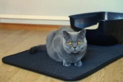 Merkloos Tastelio XXL Kattenbakmat 75x55cm - Groot Kattenbak Mat Met Innovatieve Honingraatstructuur - Dubbele Waterdichte Laag - Katten Bak Mat Met Eenvoudige Reiniging Grit Opvanger -PetSafe Huisdieren Verkoopwinkel 1200x799 16