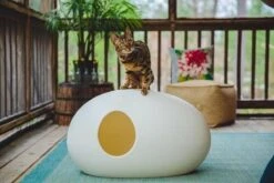 SinDesign Poopoopeedo Kattenbak - Zwart -PetSafe Huisdieren Verkoopwinkel 1200x800 19