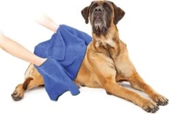 Duvo+ Hondenhanddoek 70 X 100 Cm -PetSafe Huisdieren Verkoopwinkel 1200x808