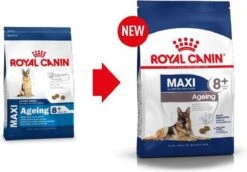 Royal Canin Maxi Ageing 8+ 15 KG -PetSafe Huisdieren Verkoopwinkel 1200x836