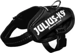 Julius K9 K9®Powertuig, S - Mini, Zwart -PetSafe Huisdieren Verkoopwinkel 1200x850