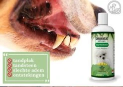 Easy Mondwater Voor Honden - 237 Ml - Tegen Stinkende Adem - Tandplak - Tandsteen - Tandvleesproblemen -PetSafe Huisdieren Verkoopwinkel 1200x852 2