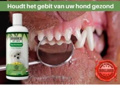 Easy Mondwater Voor Honden - 237 Ml - Tegen Stinkende Adem - Tandplak - Tandsteen - Tandvleesproblemen -PetSafe Huisdieren Verkoopwinkel 1200x852 3
