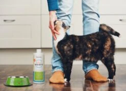OxyFresh Pet Mondwater Hond En Kat. Helpt Tegen Tandsteen, Plak En Vieze Ademgeurtjes -PetSafe Huisdieren Verkoopwinkel 1200x864