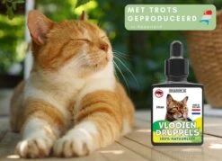 Natuurlijke Vlooiendruppels Voor Katten - Vanaf 4 Kg - 100% Natuurlijk - Vlooien - Zonder Giftige Pesticiden - 30 Ml - Speciale Formule Voor Katten - Vachtdruppels - Made In Holland -PetSafe Huisdieren Verkoopwinkel 1200x872 6