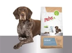 Prins Procare Senior - 15 KG -PetSafe Huisdieren Verkoopwinkel 1200x877