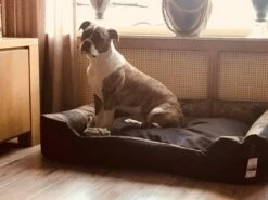 Hondenmand Cordura XXXL – Donkergrijs - 125 X 90 X 24 Cm -PetSafe Huisdieren Verkoopwinkel 1200x900 19