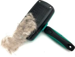 ElegaPet Hondenborstel Groen - Hondenhaar Verwijderen - Kat En Hondenkam - Slickerborstel Hond En Kat - Groomer - Ondervacht Kam Hond - Borstel Hond - Hondenborstel Langharig En Kortharig - Slickerborstel - Anti Klit/Knopen/Huidschilfers 12 ElegaPet Hondenborstel Groen - Hondenhaar Verwijderen - Kat En Hondenkam - Slickerborstel Hond En Kat - Groomer - Ondervacht Kam Hond - Borstel Hond - Hondenborstel Langharig En Kortharig - Slickerborstel - Anti Klit/Knopen/Huidschilfers -PetSafe Huisdieren Verkoopwinkel 1200x902
