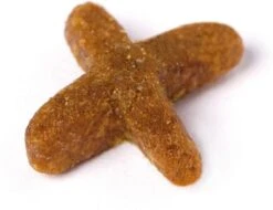 Prins VitalCare Indoor 10 Kg - Kat 28 Prins VitalCare Indoor 10 Kg - Kat -PetSafe Huisdieren Verkoopwinkel 1200x922 1