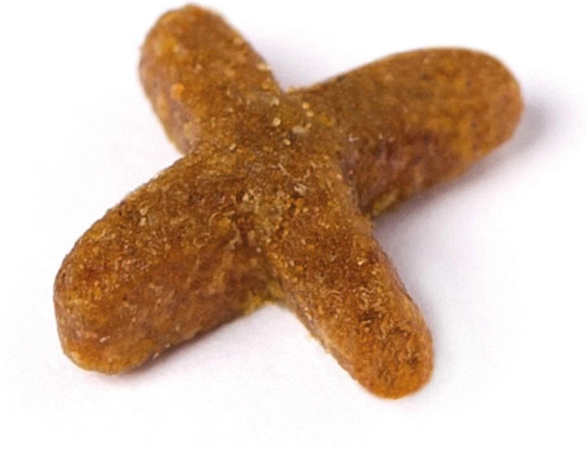 Prins VitalCare Indoor 10 Kg - Kat 12 Prins VitalCare Indoor 10 Kg - Kat - Afbeelding 12