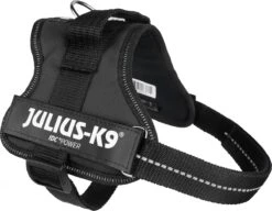 Julius K9 K9®Powertuig, S - Mini, Zwart -PetSafe Huisdieren Verkoopwinkel 1200x933