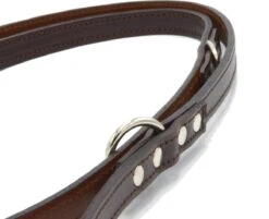 Verstelbare Trainingslijn Leer - 2 Meter - Bruin - Politielijn - Hondenriem - Hoge Kwaliteit Leer - Trainingslijn - Ambachtelijk Gemaakt In Portugal -PetSafe Huisdieren Verkoopwinkel 1200x975