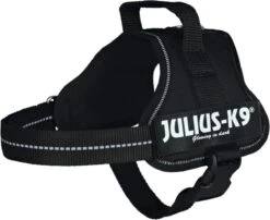 Julius K9 K9®Powertuig, S - Mini, Zwart -PetSafe Huisdieren Verkoopwinkel 1200x981
