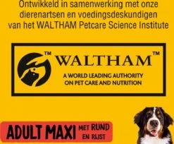 Pedigree Maxi Adult Honden Droogvoer - Rund - 15 Kg -PetSafe Huisdieren Verkoopwinkel 1200x992 1